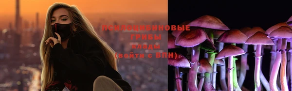 бошки Михайлов