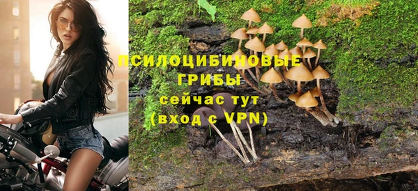 крисы Алагир