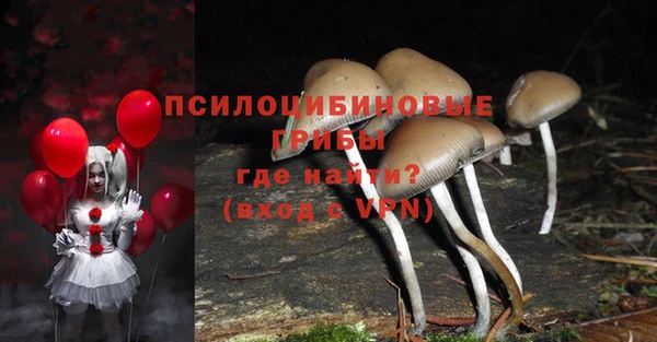 MESCALINE Михайловск