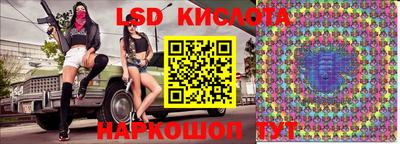 шишки Бийск