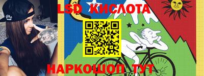 шишки Бийск