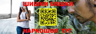 шишки Бийск