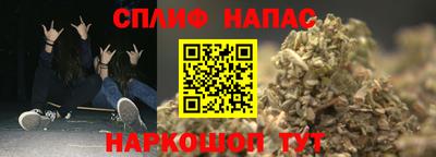 шишки Бийск