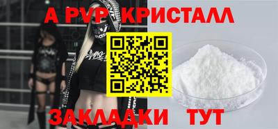 шишки Бийск