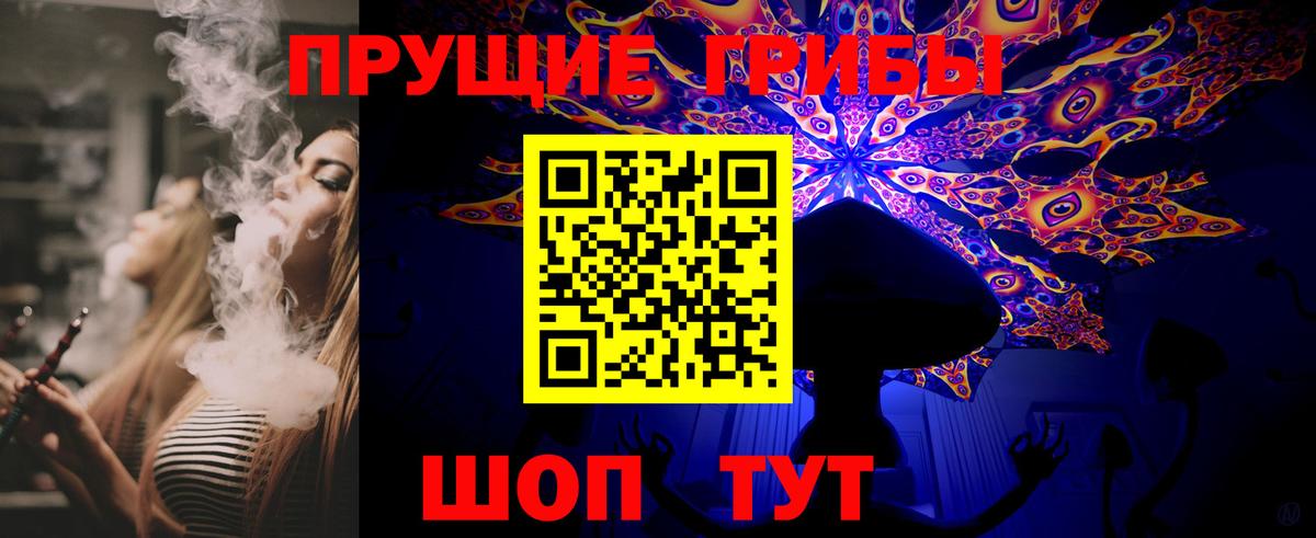 Галлюциногенные грибы Psilocybe Волжский