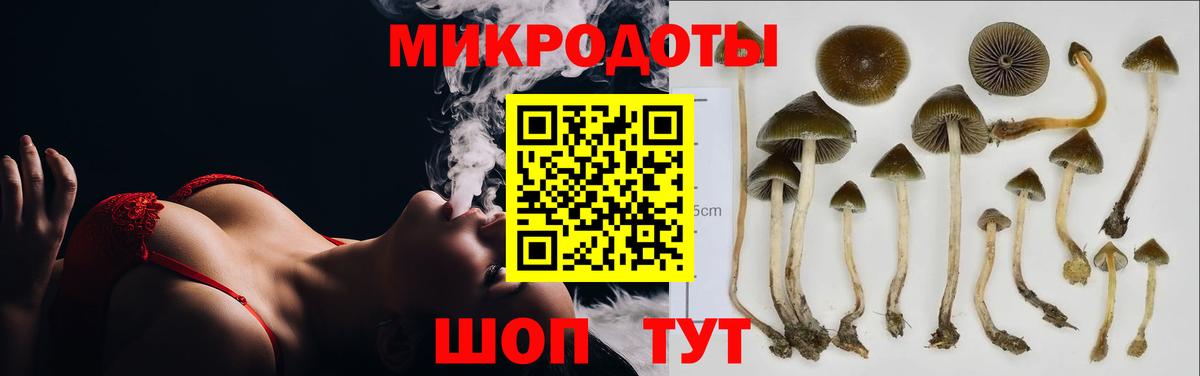 Псилоцибиновые грибы мицелий Волжский